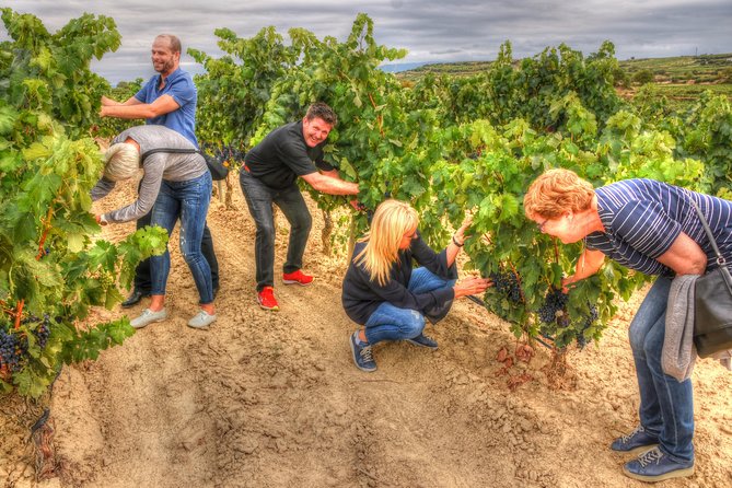 Rioja Alta and Rioja Alavesa Wine Tour - Spanish Lunch and Wine Pairing