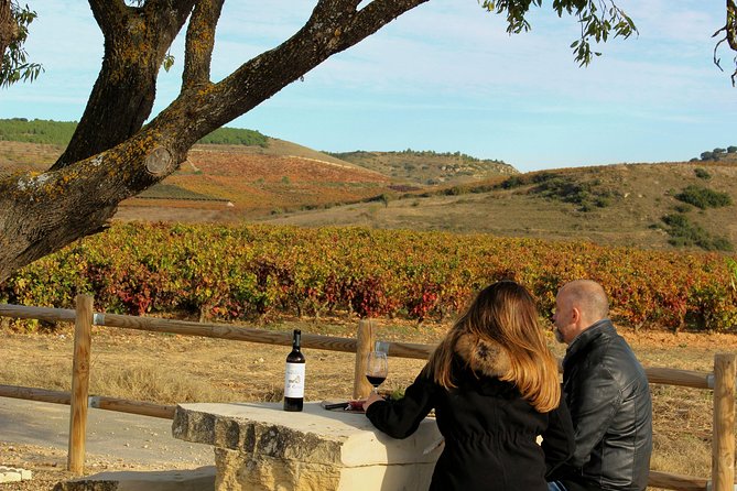 Rioja: Food and Wine Private and Customizable Tour  - Basque Country - Questions and Help