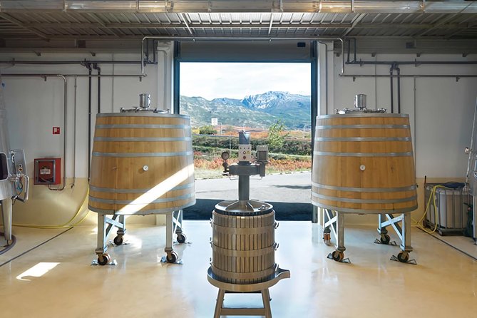 Rioja: Guided Visits to Vineyards and Bodegas - Tour Details