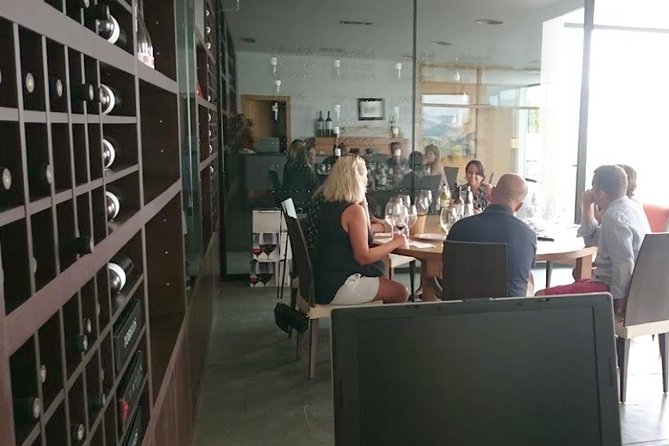 Rioja: Guided Visits to Vineyards and Bodegas - Specific Vineyard and Bodega