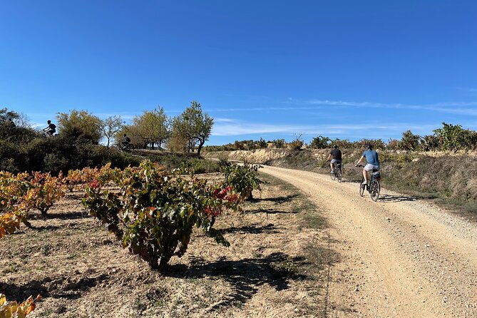 Rioja on Wheels - Discovering the Rioja Region With Ebikes (From Bilbao & Rioja) - Booking Information