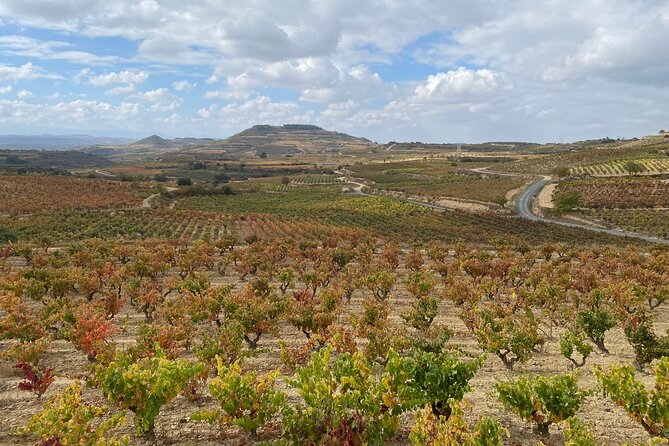 Rioja Tour of 2 Family Wineries & Picnic in Vineyard From Bilbao - Price and Terms & Conditions