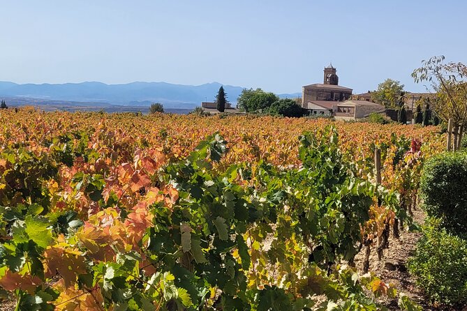 Rioja Tour of 2 Family Wineries & Picnic in Vineyard From Bilbao - Common Questions