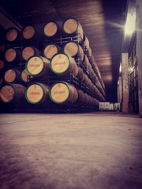 Rioja: Tour of 3 Wineries in English - Wine Tasting Experience Highlights