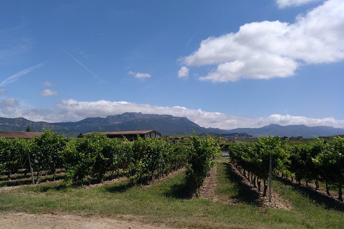 RIOJA UNCORKED - Private Enological Adventure - Ensuring a Safe Return to Your Hotel