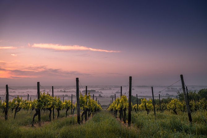 Rioja Wine Private Day Trip  - San Sebastian - Traveler Photos and Reviews