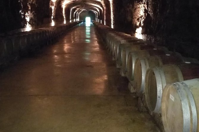 Rioja Wine Private Tour From San Sebastian - Traveler Photos and Reviews: Rave About the Tour