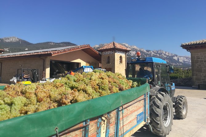 Rioja Wine Private Tour From San Sebastian - Directions and Additional Information