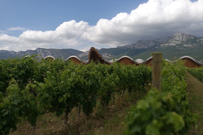 Rioja Wine Private Tour From San Sebastian - The Sum Up: Book Your Rioja Wine Tour Now!