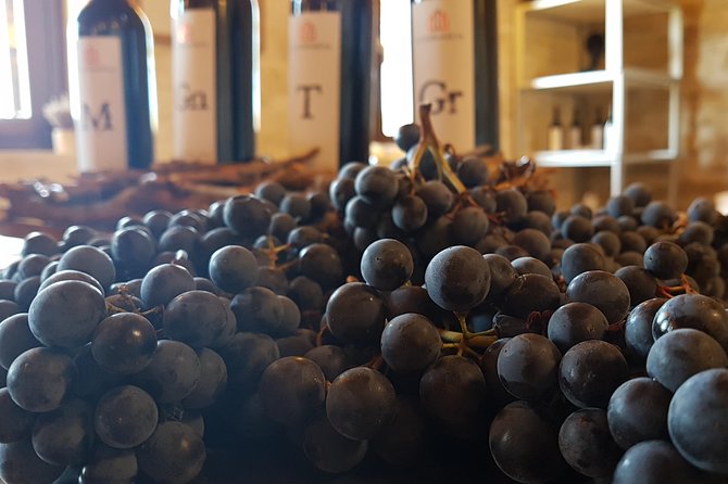 Rioja Wine Tasting Tour From San Sebastian - Reviews