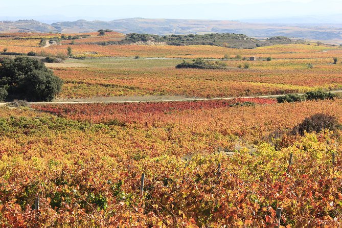 Rioja Wine Tasting Tour From San Sebastian - Tour Highlights