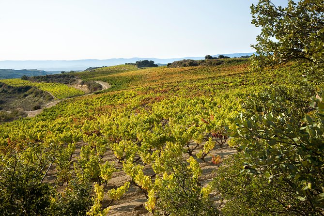 Rioja Wine Tour: 2 Wineries From Bilbao - Cancellation Policy