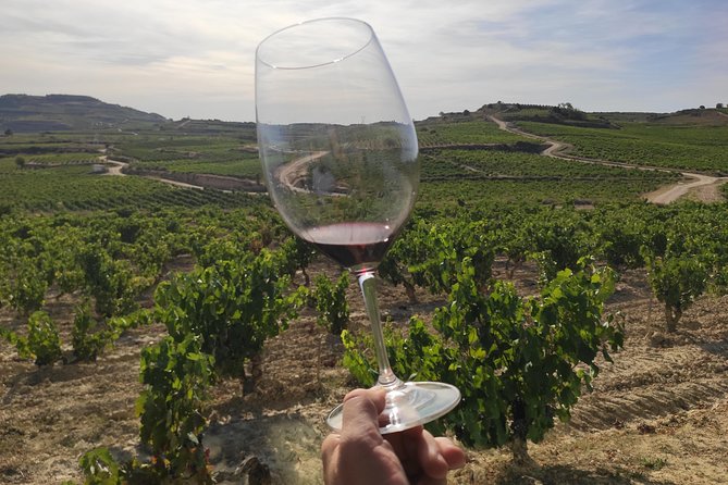 Rioja Wine Tour: 2 Wineries From Pamplona - Pricing and Booking Options