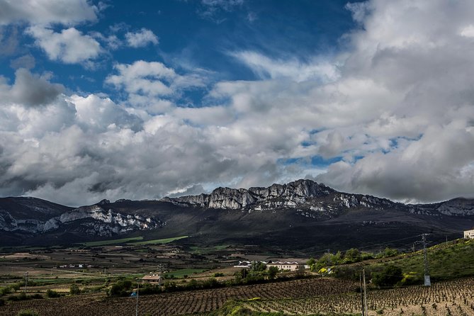 Rioja Wine Tour: 2 Wineries From Pamplona - Inclusions and Amenities