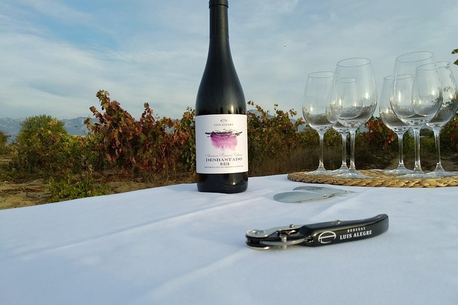 Rioja Wine Tour: 2 Wineries From Pamplona - Cancellation Policy and Refunds