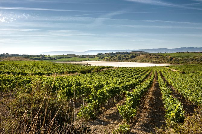 Rioja Wine Tour: 2 Wineries From Pamplona - Common Questions