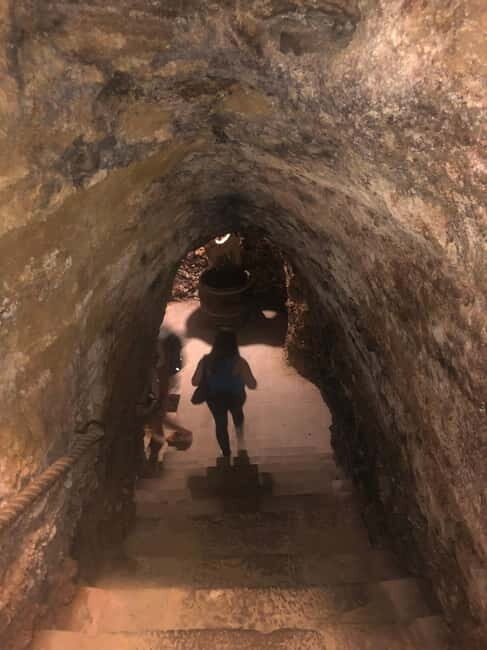 Rioja Wine Tour: 3 Wineries & Pintxos Lunch - Who Is This Tour Best For?