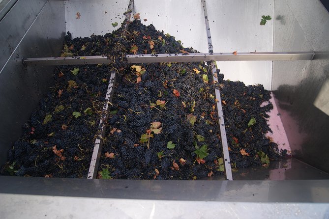 Rioja Wine Tour: Winery, Tasting & Lunch From San Sebastian - Traditional Lunch and Wine Tasting