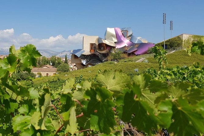 Rioja Wine Tour: Winery & Traditional Lunch From Bilbao - Tour Overview and Itinerary