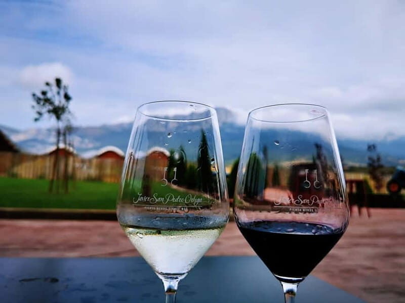 Rioja: Wine Tour with a Local Expert with Tastings - Who Will Love This Tour?