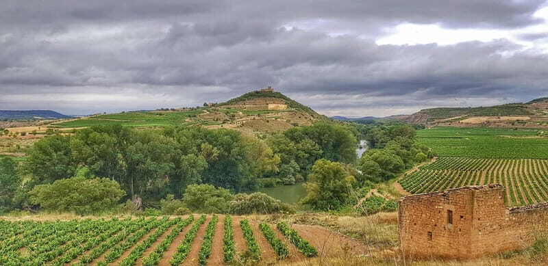 RIOJA: WINE TOUR WITH A WINERY OWNER - Good To Know