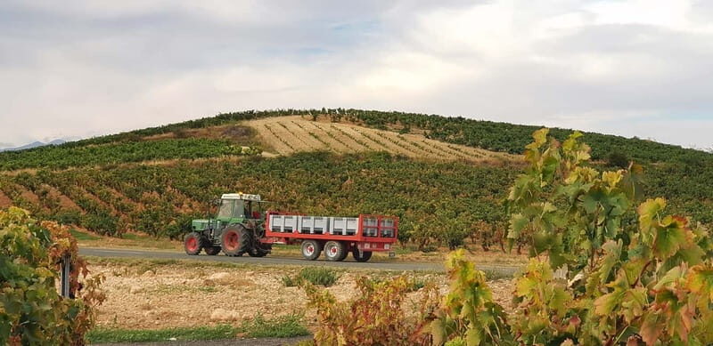 RIOJA: WINE TOUR WITH A WINERY OWNER - A Deep Dive into the Rioja Wine Tour Experience