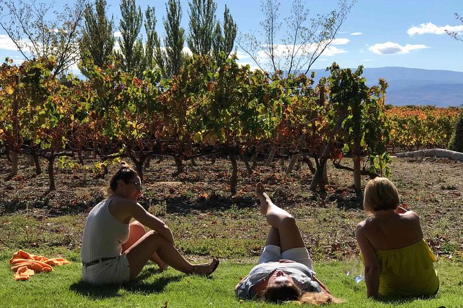 Rioja Wineries and Laguardia Tour With Picnic From San Sebastian - Tour Overview