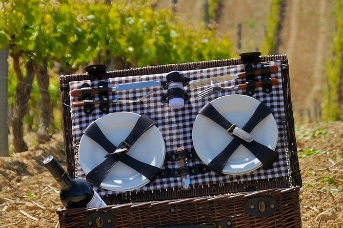 Rioja Wineries and Laguardia Tour With Picnic From San Sebastian - Itinerary Highlights