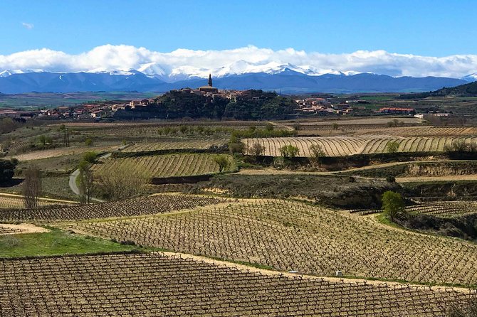 Rioja Wineries and Laguardia Tour With Picnic From San Sebastian - Exploring Laguardia Village