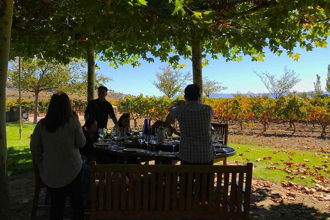 Rioja Wineries and Laguardia Tour With Picnic From San Sebastian - Traveler Reviews and Recommendations