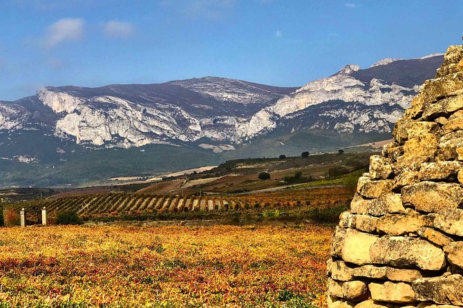 Rioja Wineries and Laguardia Tour With Picnic From San Sebastian - Common Questions