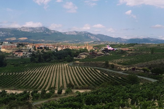 Rioja Winery Hopping Tour From San Sebastian - Guides Expertise