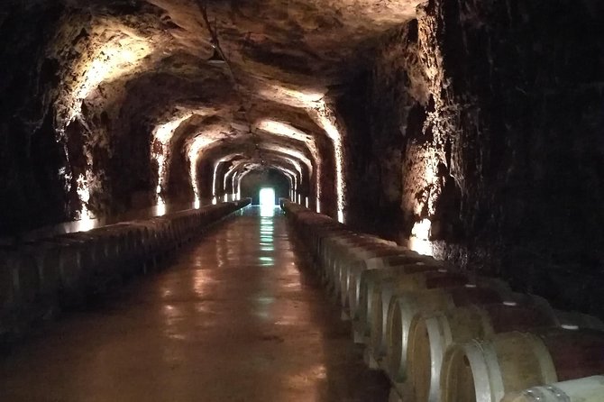 Rioja Winery Hopping Tour From San Sebastian - Booking and Cancellation Policy