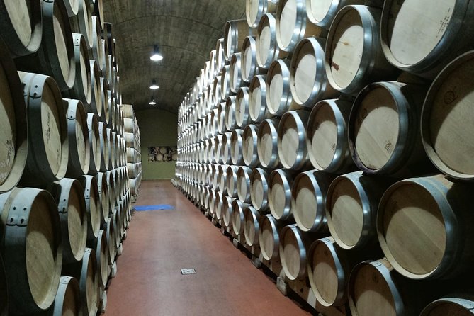 Rioja Winery Private Trip  - San Sebastian - Pricing and Terms