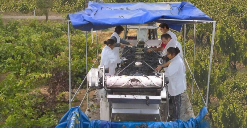 Rioja Winery & Traditional Lunch From Pamplona or Logroño - What Makes This Tour Stand Out?