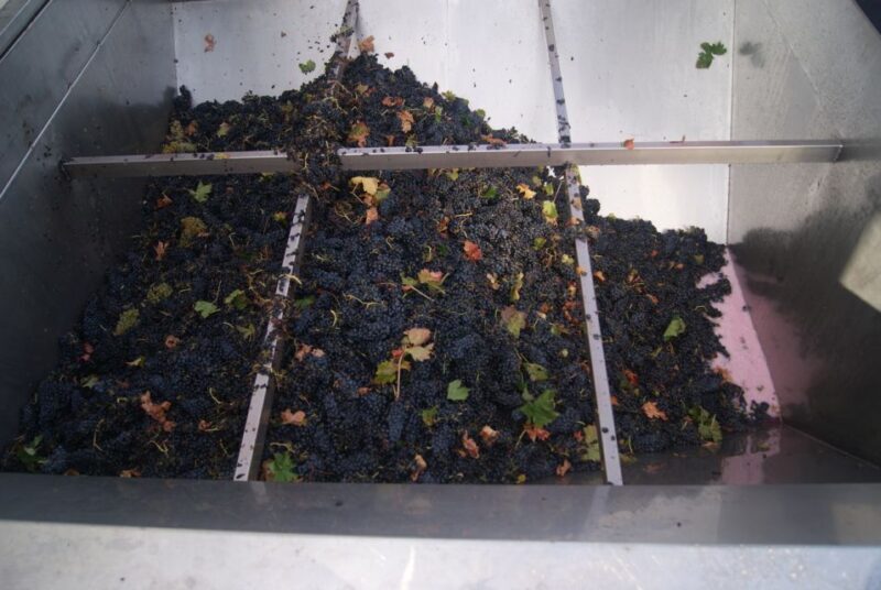 Rioja Winery & Traditional Lunch From Pamplona or Logroño - Practical Tips for Travelers