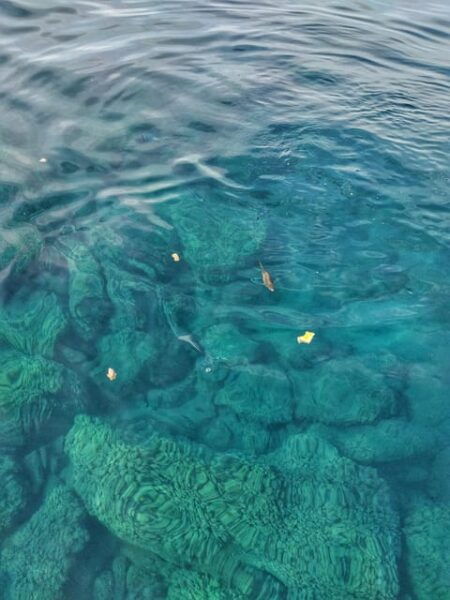 Riomaggiore: Cinque Terre Cruise With Swim/Snorkel Stops - Frequently Asked Questions