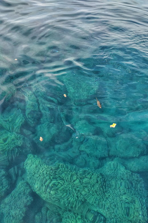 Riomaggiore: Cinque Terre Daytime Cruise with Snorkeling - Price and Value: Is It Worth It?