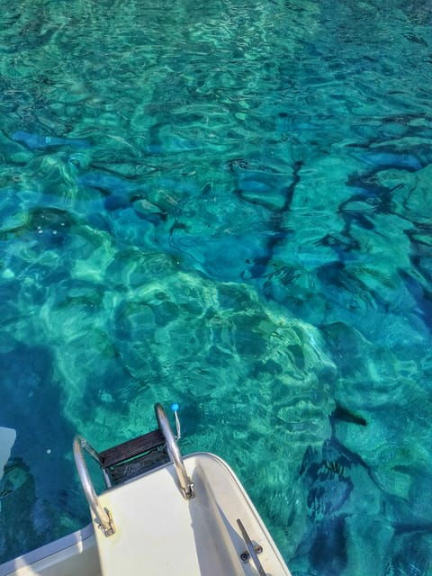 Riomaggiore: Cinque Terre Daytime Cruise with Snorkeling - FAQ