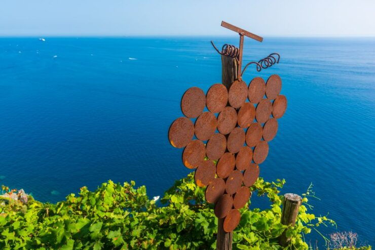 Riomaggiore: Vineyard & Wine Cellar Tour With Wine Tasting - Tour Details