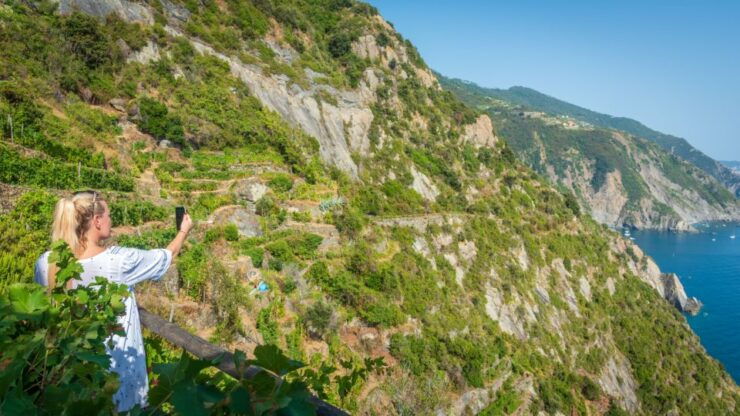 Riomaggiore: Vineyard & Wine Cellar Tour With Wine Tasting - Experience Highlights