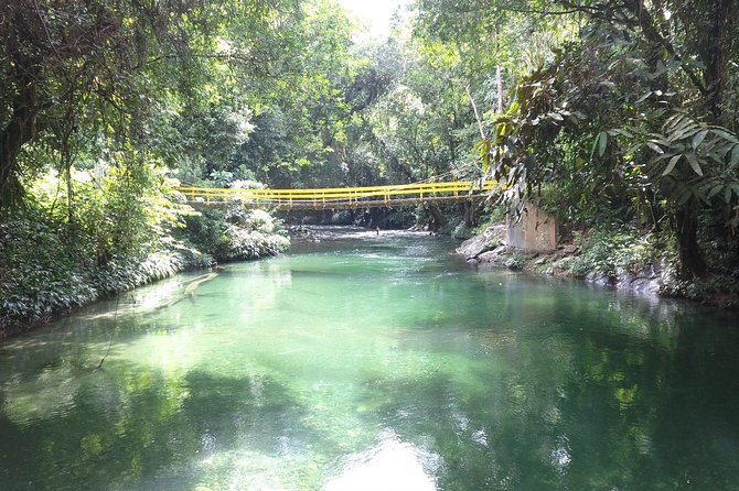 Rios De Cristal: Small-Group Tour From Medellin (Feb ) - Tour Highlights