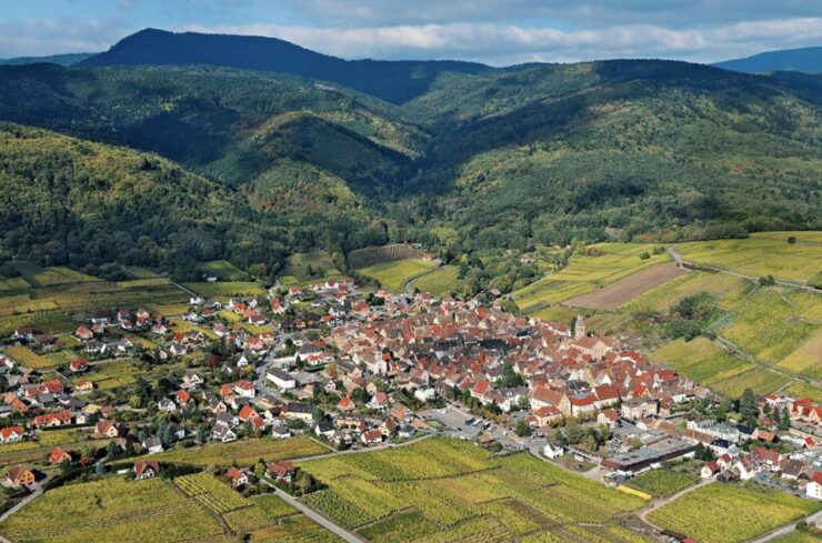 Riquewihr: Private Guided Walking Tour - Activity and Booking Details