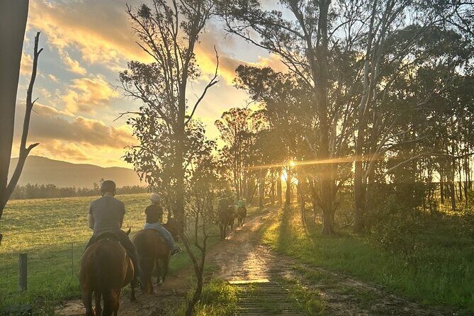 Rise and Shine 75 Minutes Early Morning Ride - The Experience Breakdown: What’s on Offer