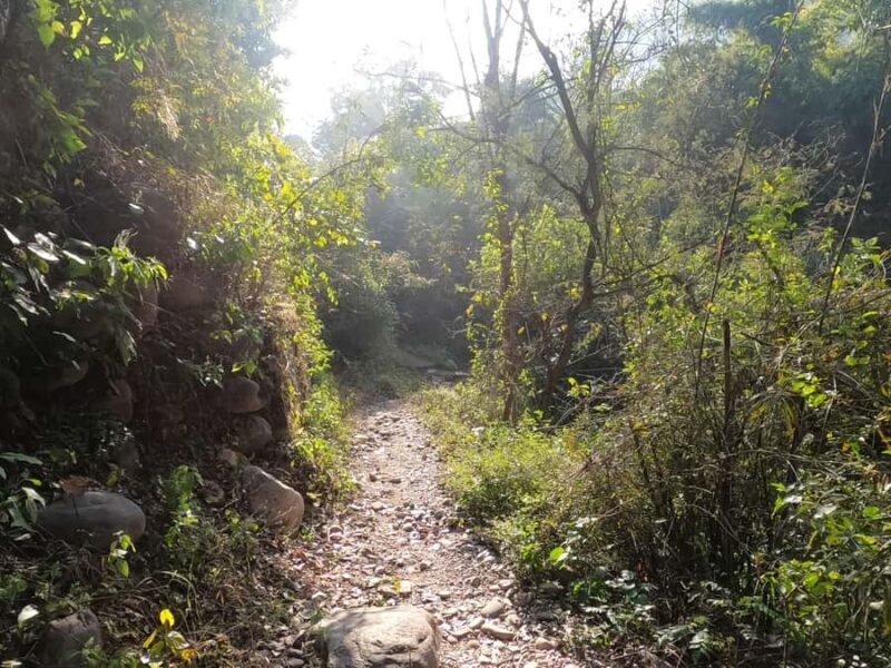 Rishikesh: 1 Full Day Kota Village Trek with Lunch & Guide - FAQ