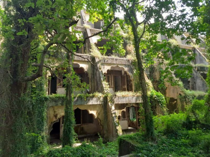 Rishikesh: Beatles Ashram Guided Tour along the Ganges - Good To Know