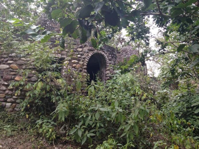 Rishikesh: Beatles Ashram Guided Tour along the Ganges - The Sum Up