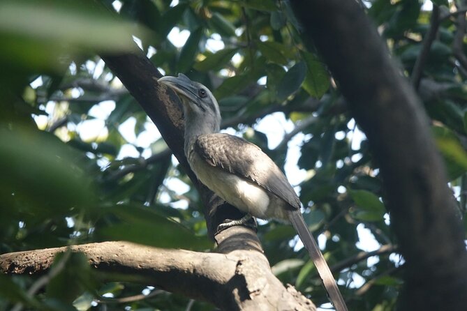 Rishikesh Bird Watching With Cultural Trails Tour From Delhi - Booking Information