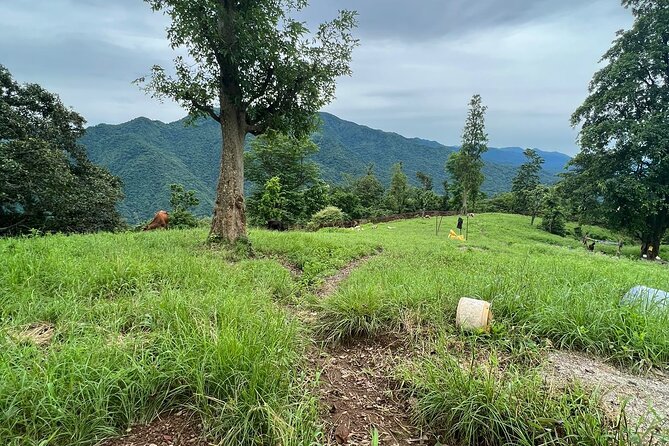 Rishikesh Bird Watching With Cultural Trails Tour From Delhi - Pricing Details