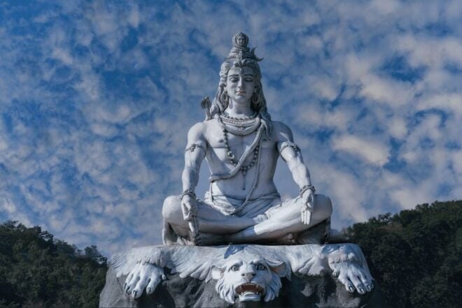 Rishikesh Day Tour - Highlights